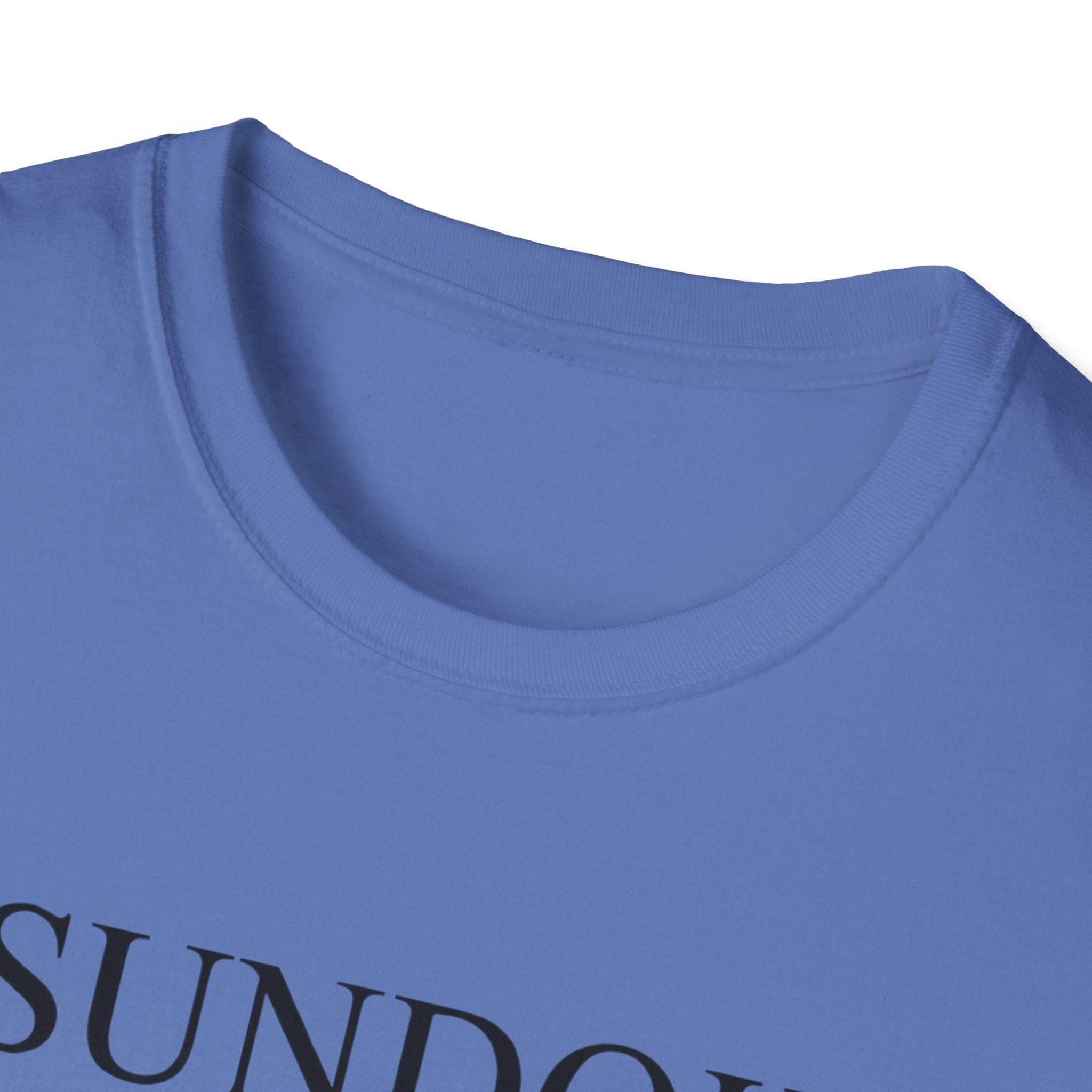 Tsundoku Definition Also My Retirement Plan T-Shirt