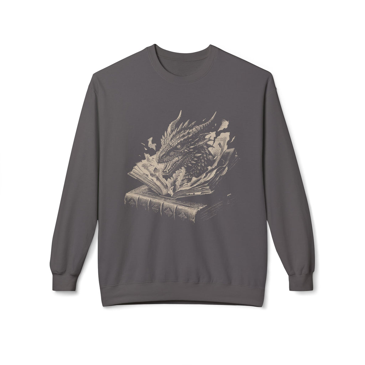 Book Dragon Sweatshirt