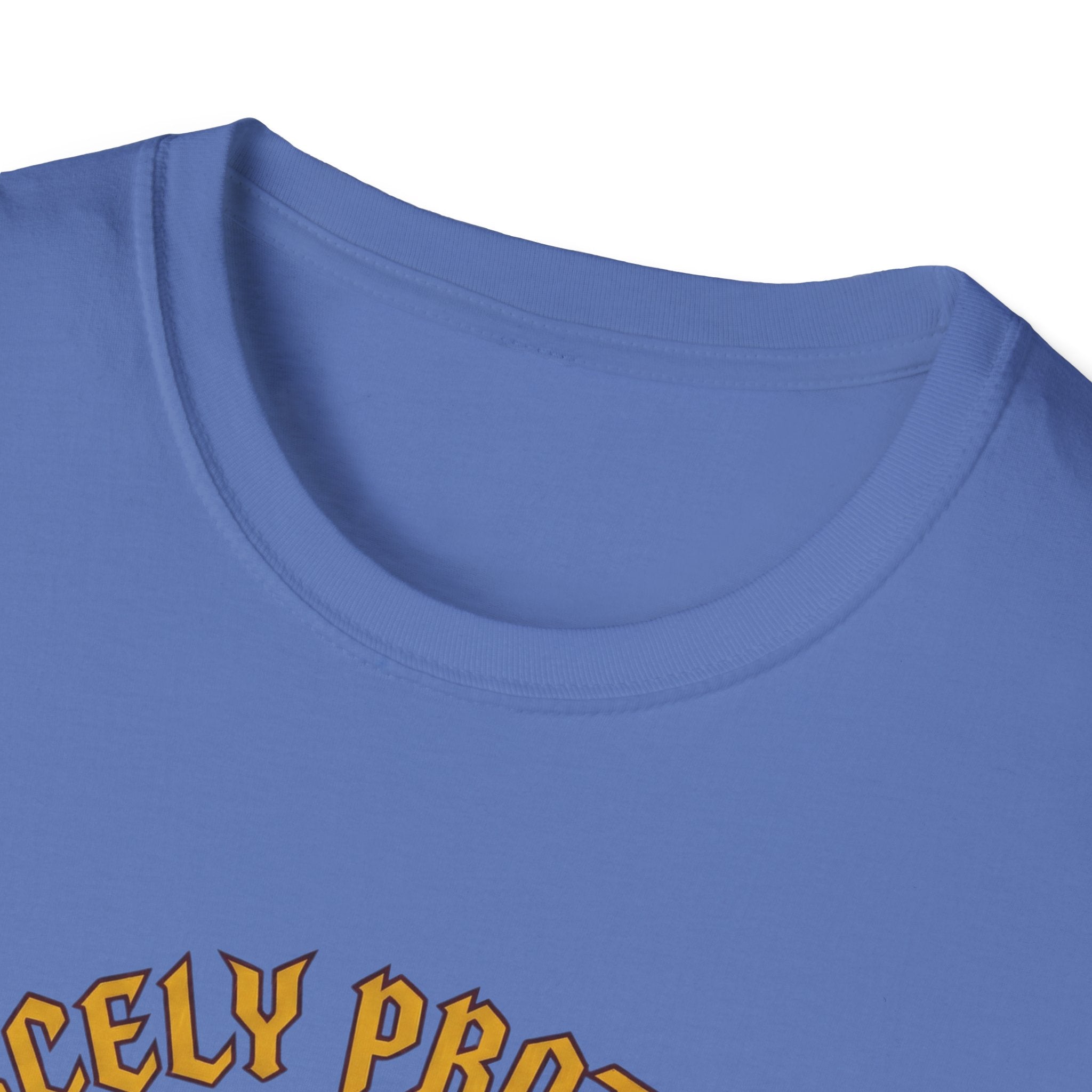 Fiercely Protective Slow To Read T-Shirt
